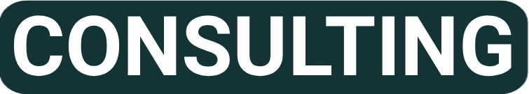 consulting icon