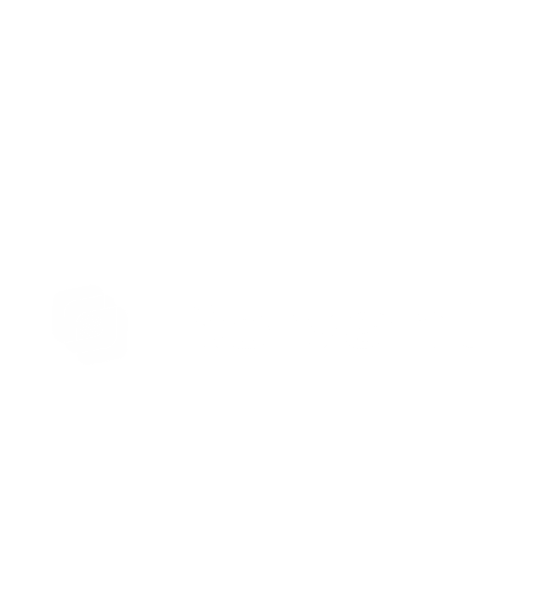 Relvant DSP logo
